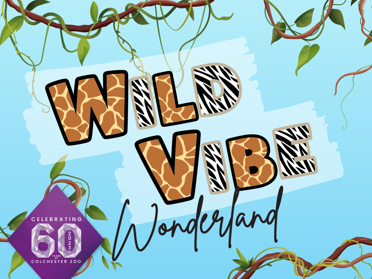 𝗝𝗼𝗻𝗮𝘁𝗵𝗮𝗻 𝗠𝗮𝘄𝘀𝗼𝗻 𝗖𝗿𝗲𝗮𝘁𝗶𝘃𝗲 tweet media