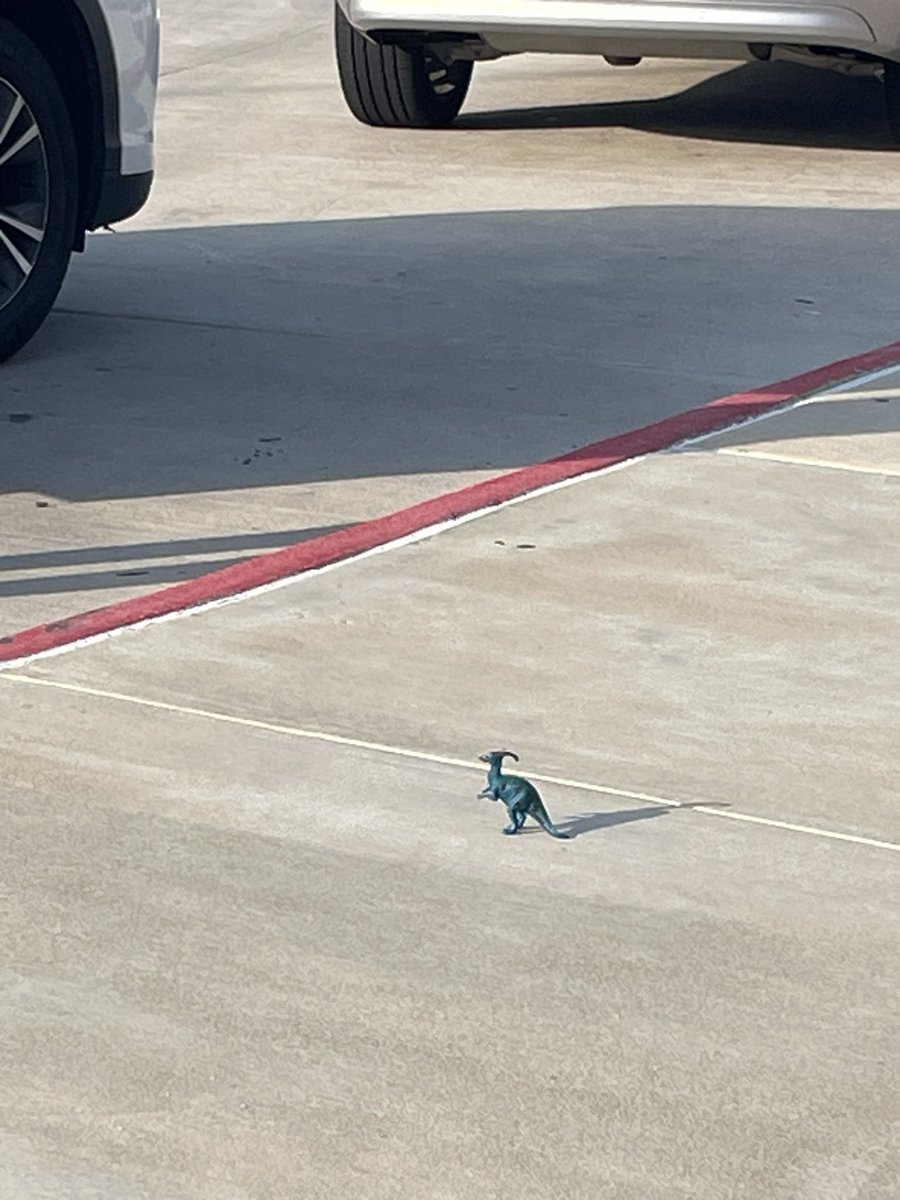 @HumbleISD ESL/Bilingual Summer Program is off to a great start! 
I absolutely adore the kids, staff, families, and even this little guy 🦖 that’s helping with morning arrival. #ittakesavillage