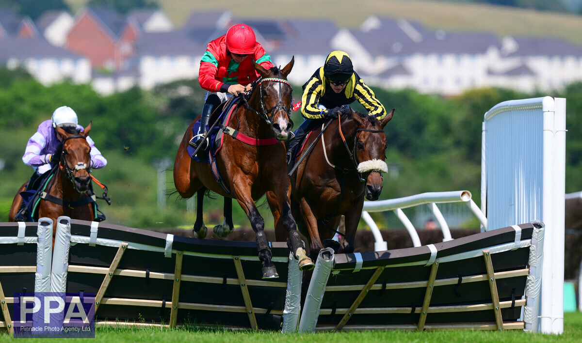 ppauk's tweet photo. Race 4 Winner, @NewtonAbbotRace, Good Impression ridden by @BenJone04644251 for @BJ_Llewellyn
@wmnsport @ExEchoSport @WMNHorses @TheTorbayWeekly @TQHeraldExpress https://t.co/t0r9EROyCm