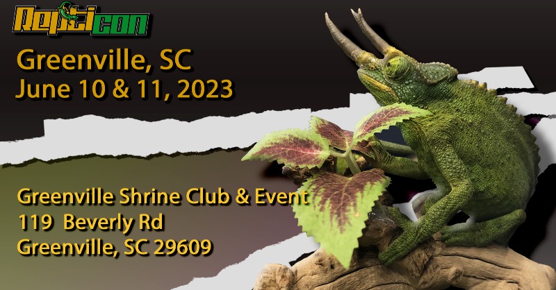 Repticon Greenville is back!