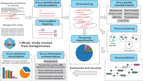 ViWrap: A modular pipeline to identify, bin, classify, and predict viral–host relationships for viruses from metagenomes onlinelibrary.wiley.com/doi/full/10.10… #Bioinformatics #metagenomics #pipeline #virus #microbiome @wileymicrobio @wileyinresearch @WileyBiomedical