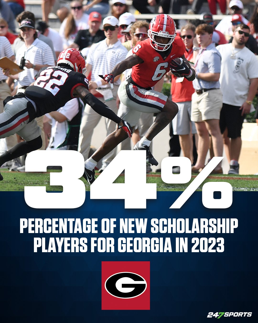 247 sales sports uga