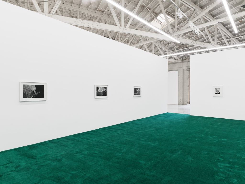 Daniel Faria Gallery tweet media
