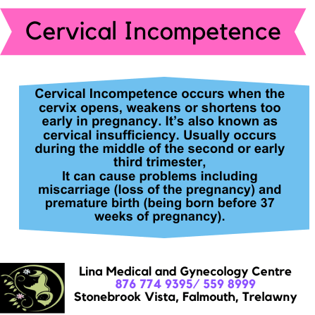 MedicalLina's tweet photo. #LINAMEDICALCENTRE Visit with our experience Obstetrician/Gynecologist at Lina Medical &amp; Gynecology Centre. To schedule an appointment please call 876-774-9395/559-8999. Our opening hours are 8am to 6pm, Mondays to Thursdays and 8am to 4pm on Fridays. https://t.co/fkHOeNjq8N