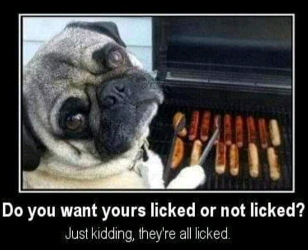 PJ's Pet Stores tweet media