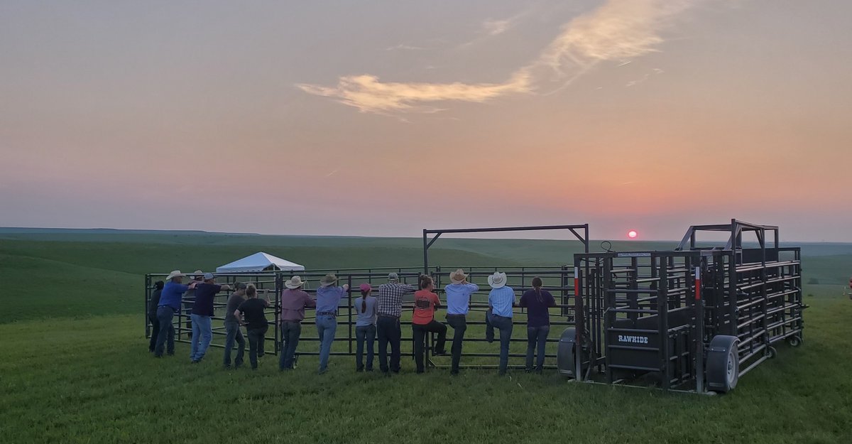 The outriders were making their plan for Saturday's Signature Event. Stop by for roping lessons and watch them shine as they orchestrate the cattle drive.

Get your tickets to the 18th annual event on June 10 in Wabaunsee County: tickets.symphonyintheflinthills.org/sop/sitfh-23/.