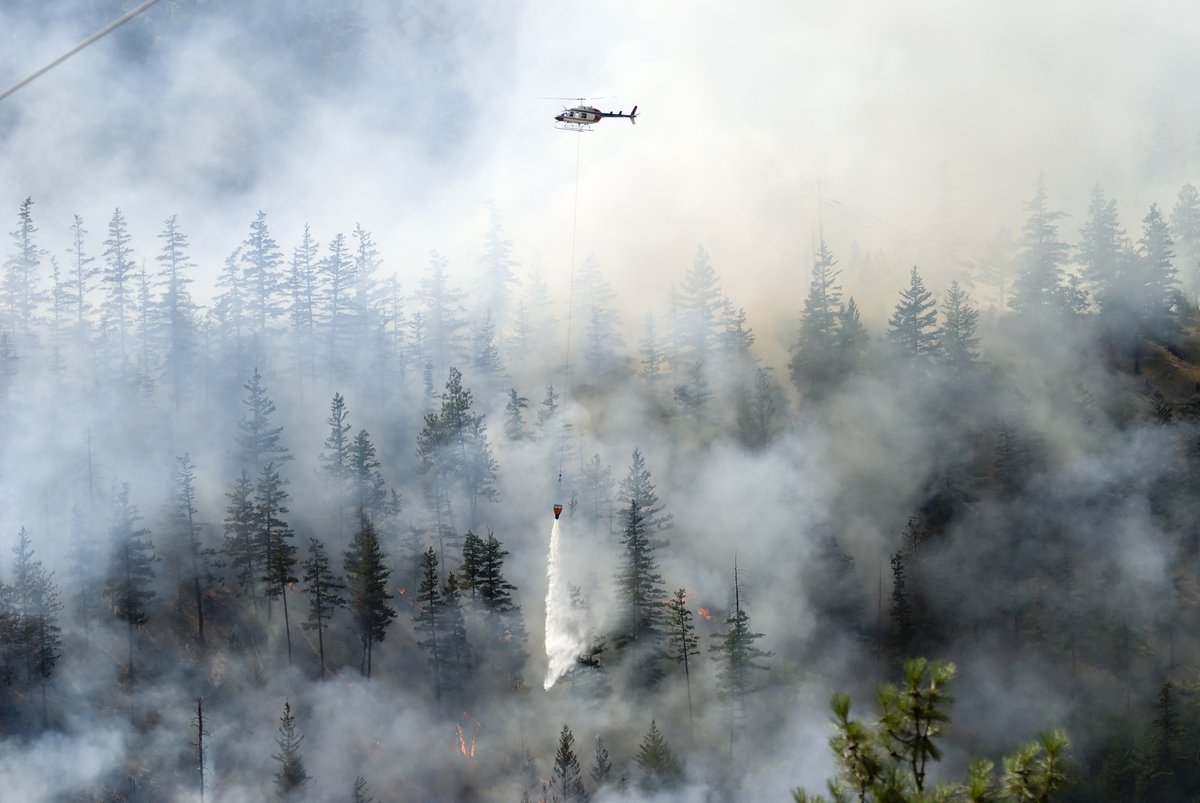CWF_FCF's tweet photo. Although wildfires can bring forest renewal, the unprecedented scale of wildfires across Canada this year will have significant impacts. Habitats will be temporarily destroyed, animals will perish in the fires, and since spring is the season when wild animals are born, including billions of birds, the smoke may affect their tiny lungs.

Climate change is causing more forest fires to burn. 🔥

Wildfire activity this spring ‘unprecedented,’ federal officials say: https://t.co/MexCrhK69C