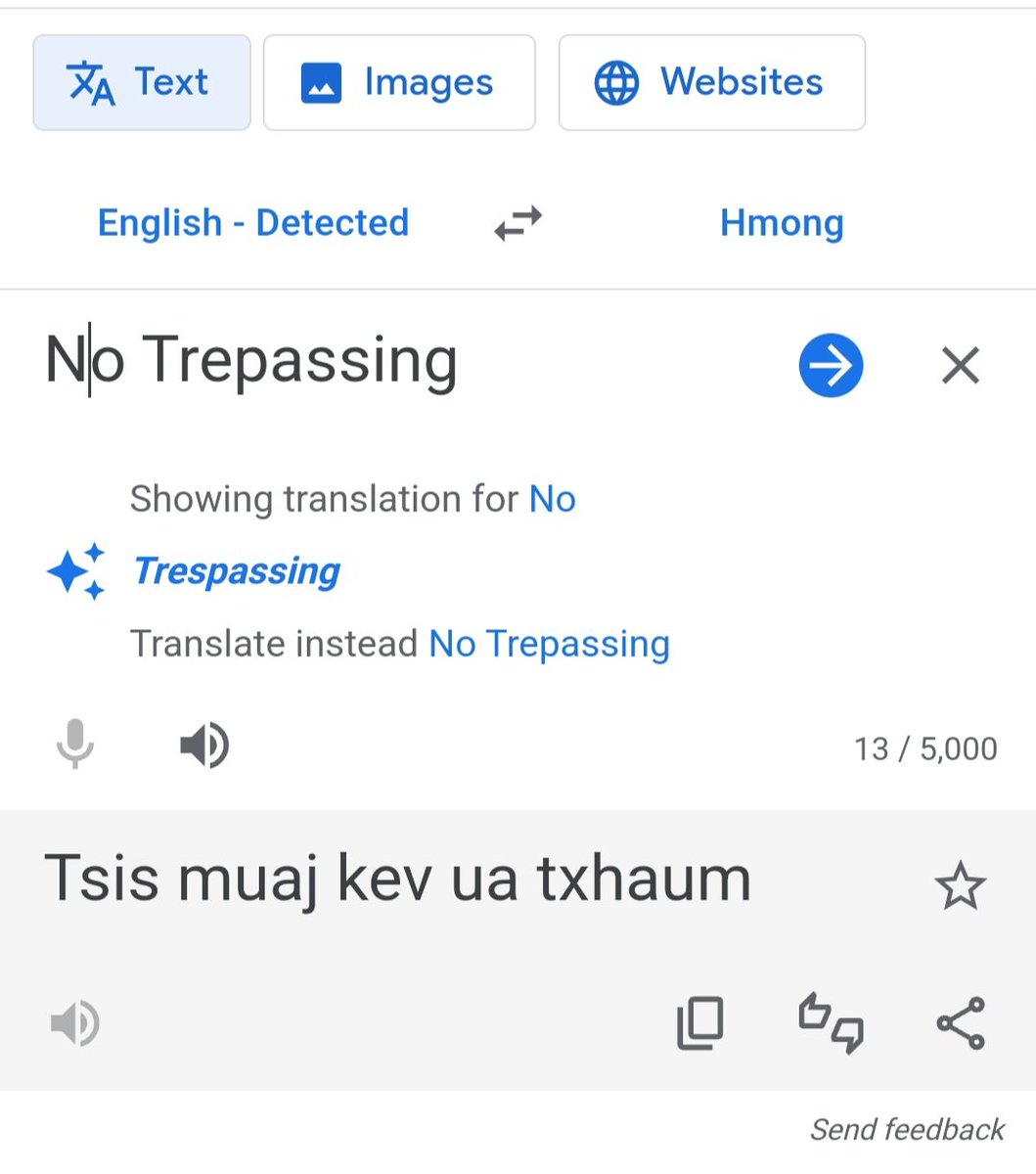 mareeh_vwj's tweet photo. This is what happens when you do not speak the Hmong language and don't know how complex our language is. Google translate does not give you the correct translation. 🙄 #stopbeinglazy #wrongtranslation #hmong #hmongcantbegoogled https://t.co/crNi2VB0Dr