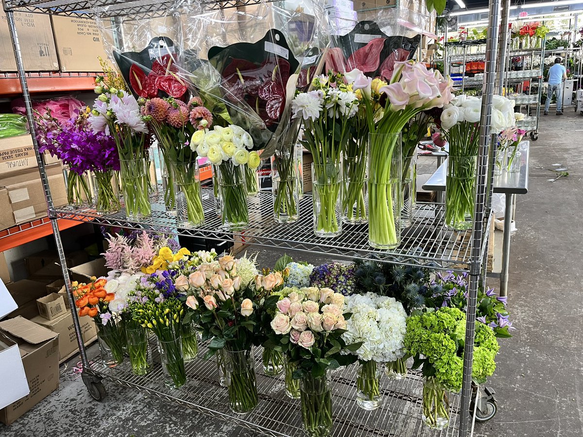 nycjamgal's tweet photo. 🌺 De colores, de colores
Se visten los campos en la primavera.
🐦 De colores, de colores
Son los pajaritos que vienen de afuera.
🌈 De colores, de colores
Es el arco iris que vemos lucir.
#DeColores #LiveLifeInColor https://t.co/JEqevM0LlQ