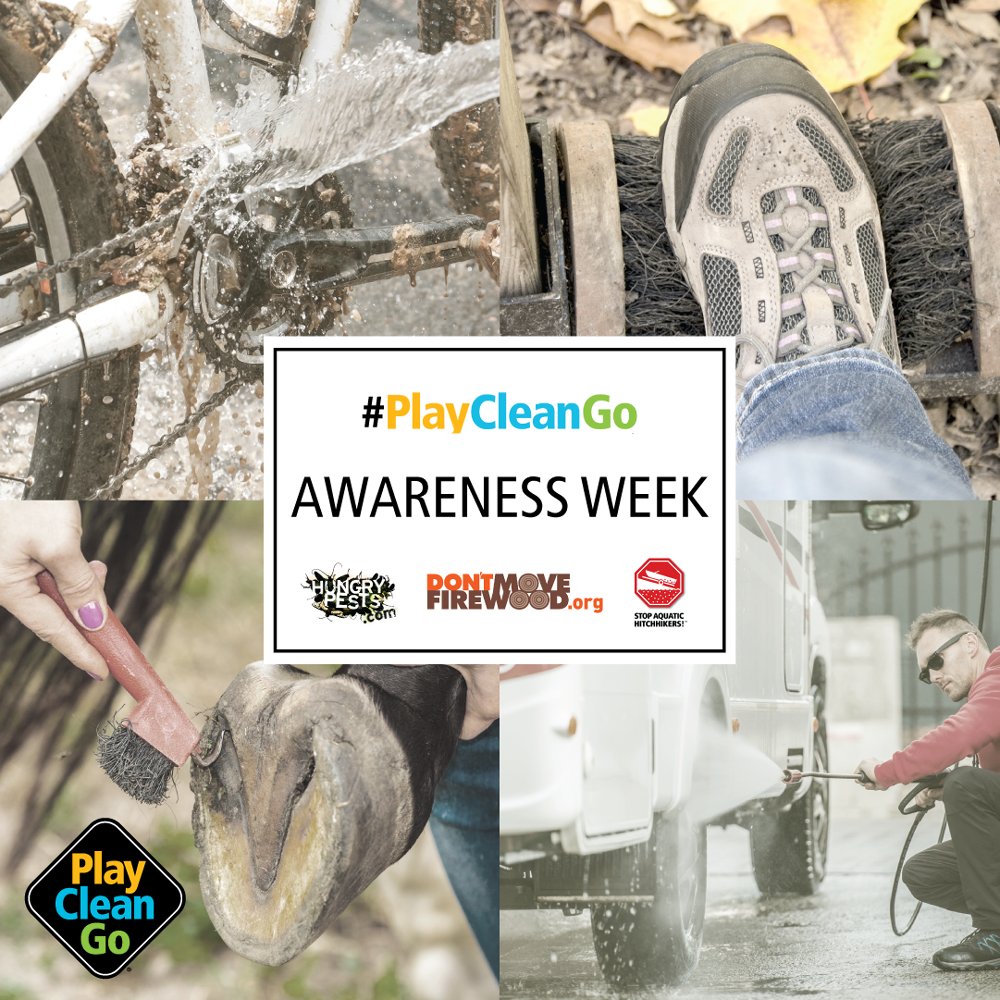 mnforestry's tweet image. Thanks for coming along with us for #PlayCleanGoWeek! In all your exploring, take these easy steps to stop invasive plants and pests and protect our state: Stay on trails. Clean your gear, clothes, and animals before exploring a new natural space.