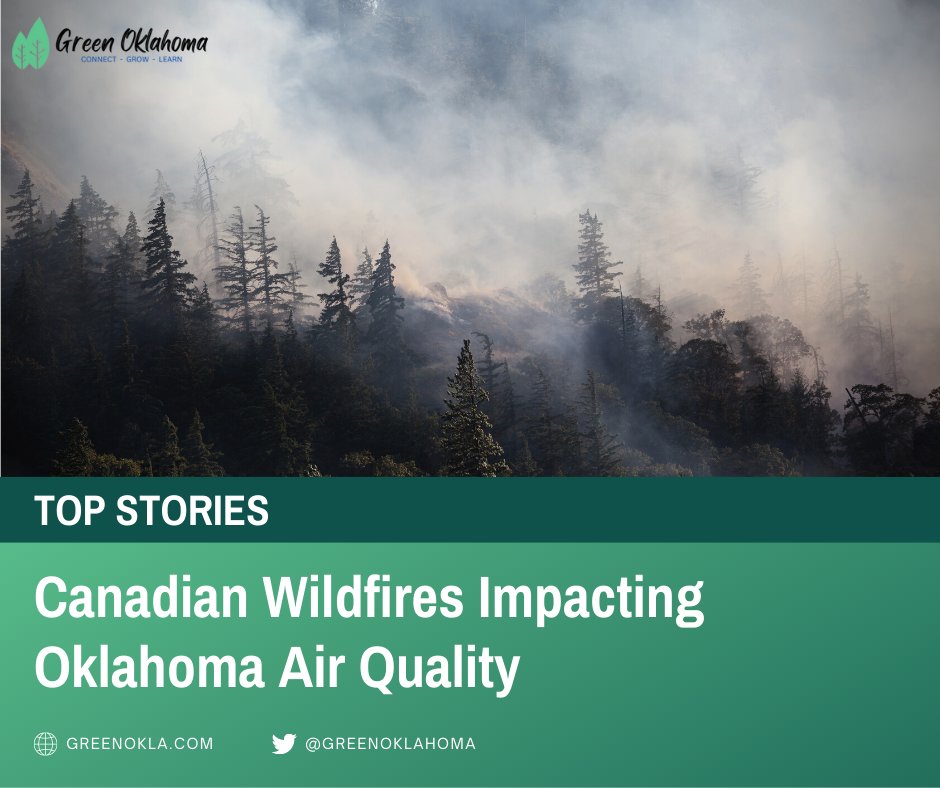 Wildfires in Canada are impacting our air quality here in Oklahoma. There is an ozone alert for the state. Elevated pollution levels can affect the lungs and heart. Learn more about ozone alerts- greenokla.com/what-is-an-ozo… #AirQualityAlert #oklahoma