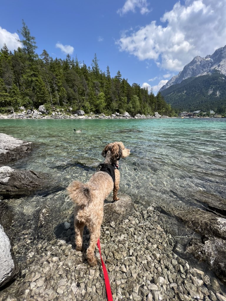 Grüße vom Eibsee ☀️