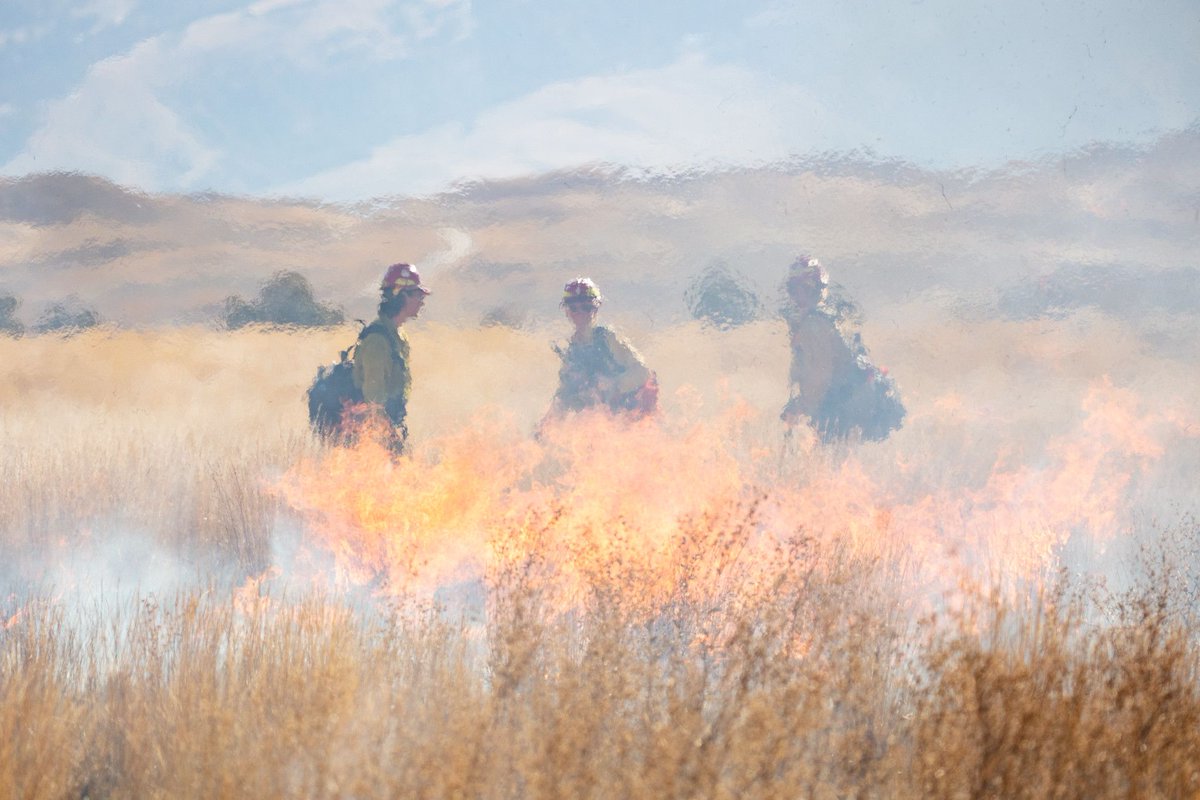 The stresses of wildland firefighting are slowly being addressed, but a bill in Congress named after a smokejumper who died in action could push the needle even further. <a href="/GrassrootsWFF/">Grassroots Wildland Firefighters</a> <a href="/GallatinNF/">Gallatin NF</a> <a href="/ShoshoneNF/">Shoshone National Forest</a> billingsgazette.com/outdoors/menta…