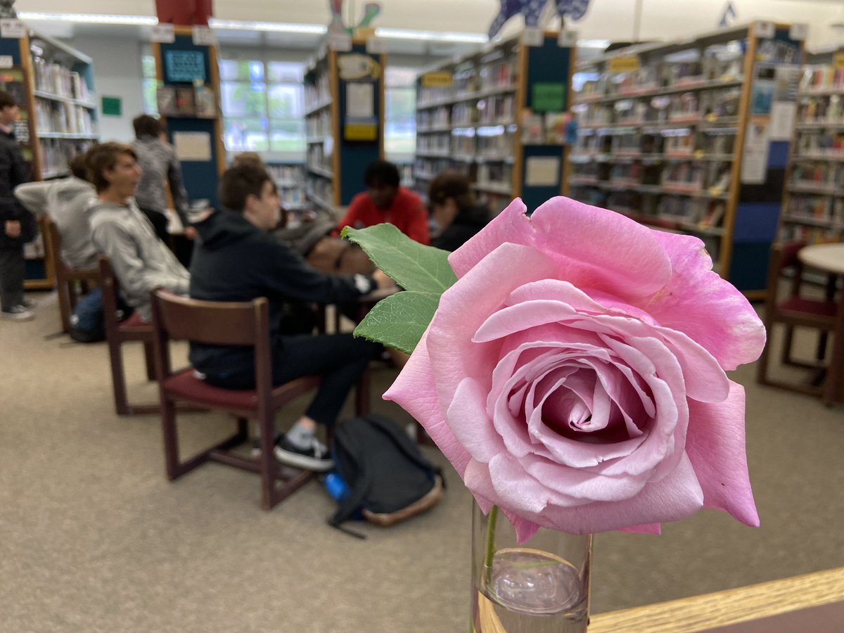 WestHillsLIB's tweet photo. Greeted by a surprise rose when opening up the library for the last day of school! #BestStudentsEver #whhspack https://t.co/UxlnFwfy8G