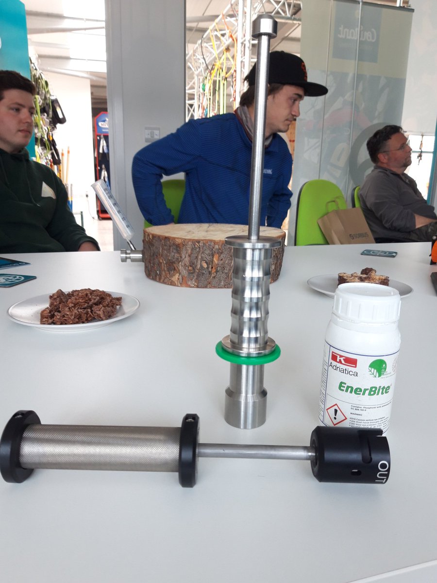 Bell Harper tweet media