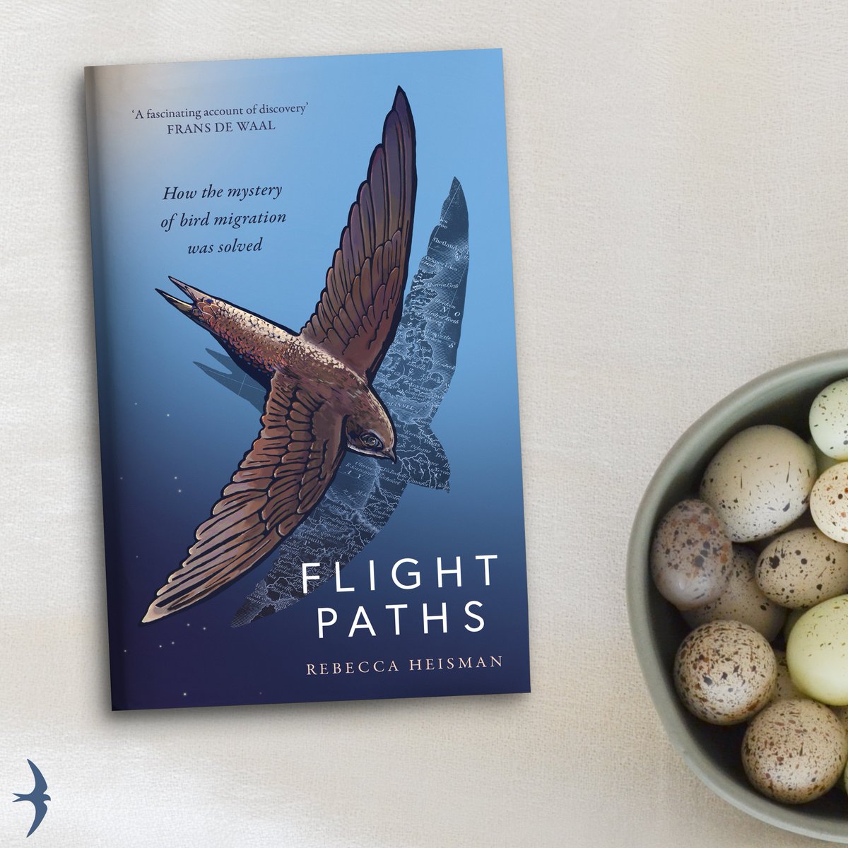 _SwiftPress's tweet image. Happy #WorldSwiftDay 🪶 

We've got two copies of the gorgeous #FlightPaths by @r_heisman to #giveaway to celebrate 🎉

DM us with your favourite birdwatching spot below and be in to #win. T&amp;amp;C's apply. Comp closes 5pm 12.6.23.