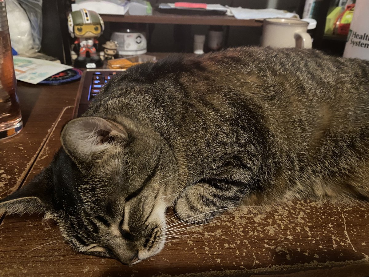 lotsodoodles's tweet image. Hello lovely Twitter folks. My dear friend that passed away has a sweet loving gal named Rosie that's needing a loving home. We've been trying to reach out to her communities to see if there's someone willing to help out and haven't had luck.
Please boost if you can!