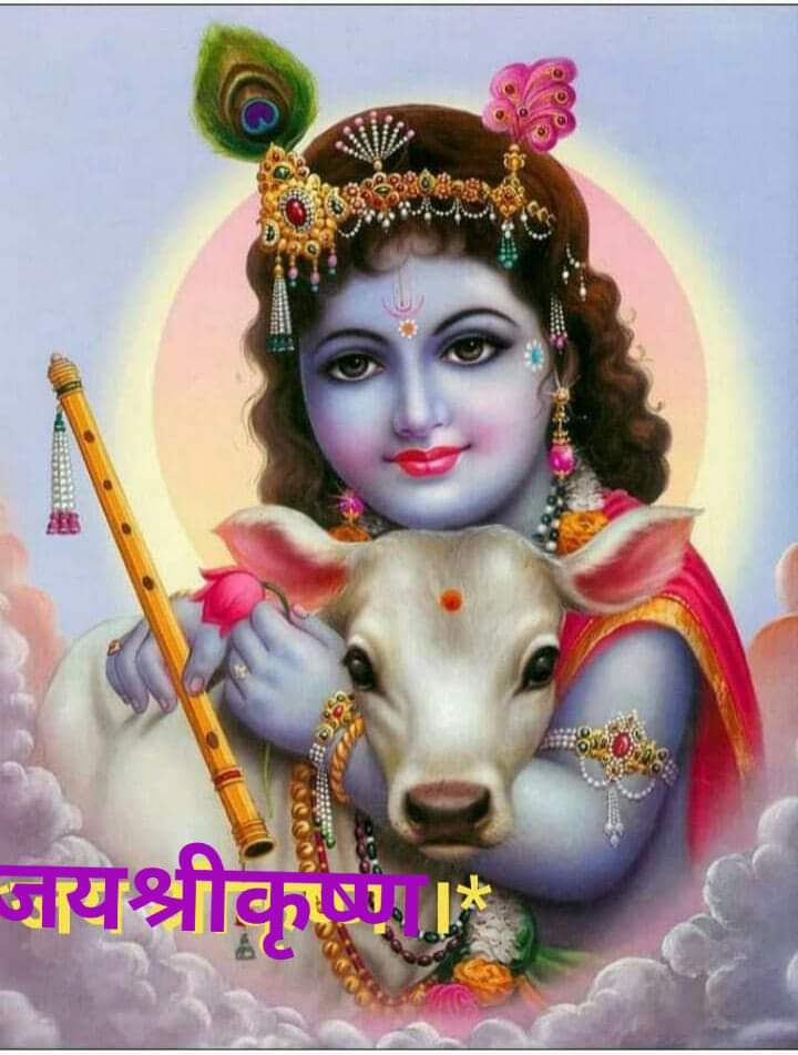 अपि चेदसि पापेभ्य: सर्वेभ्य: पापकृत्तम:।
सर्वं ज्ञानप्लवेनैव वृजिनं सन्तरिष्यसि॥
श्रीमद्भागवत🙏🚩
#जय_श्री_कृष्णा 💖🙏
((🔴))**((🔴))**((🔴))**((🔴))
    ║             ║           ║           ⭐
    ║             ║          ⭐         *)(*
   )(       ((🔴)) शुभ रात्रि💕🙏