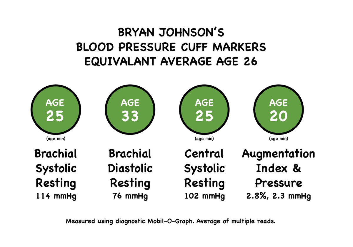 bryan-johnson-on-twitter-stiffness-in-the-small-arteries-is-a-bad