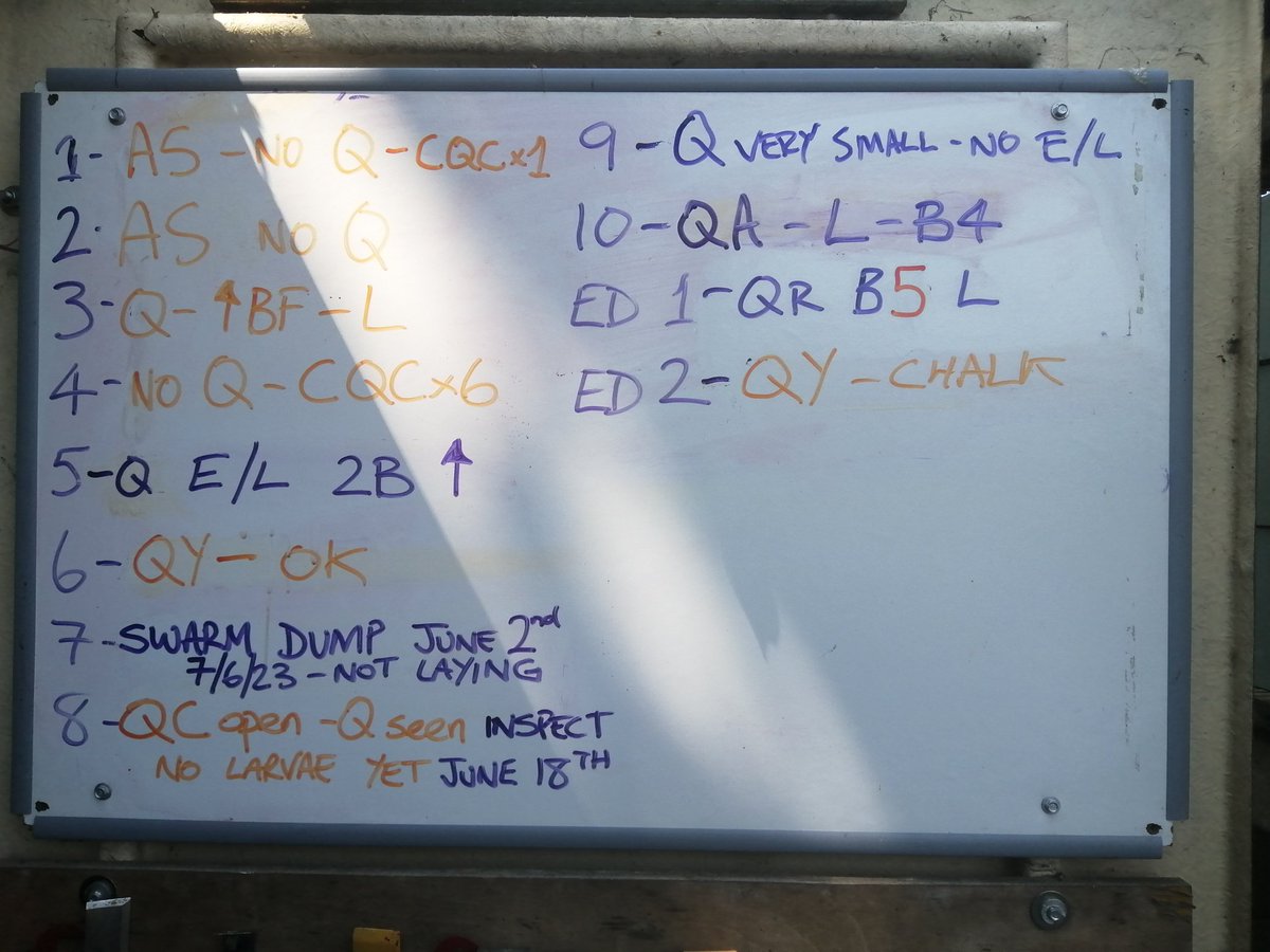 Tim Hewer tweet media