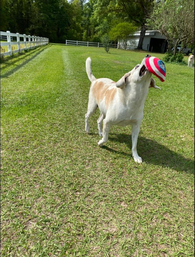 Touching grass never felt better. What are you guys up to! Got some Vitamin D today