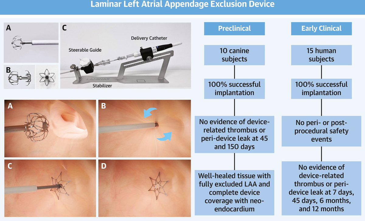 Mohamad Alkhouli (@adnanalkhouli) on Twitter photo The FIH experience with the LAMINAR LAAO device is published today: a game changer? jacc.org/doi/10.1016/j.… The FIH experience with the LAMINAR LAAO device is published today: a game changer? jacc.org/doi/10.1016/j.…