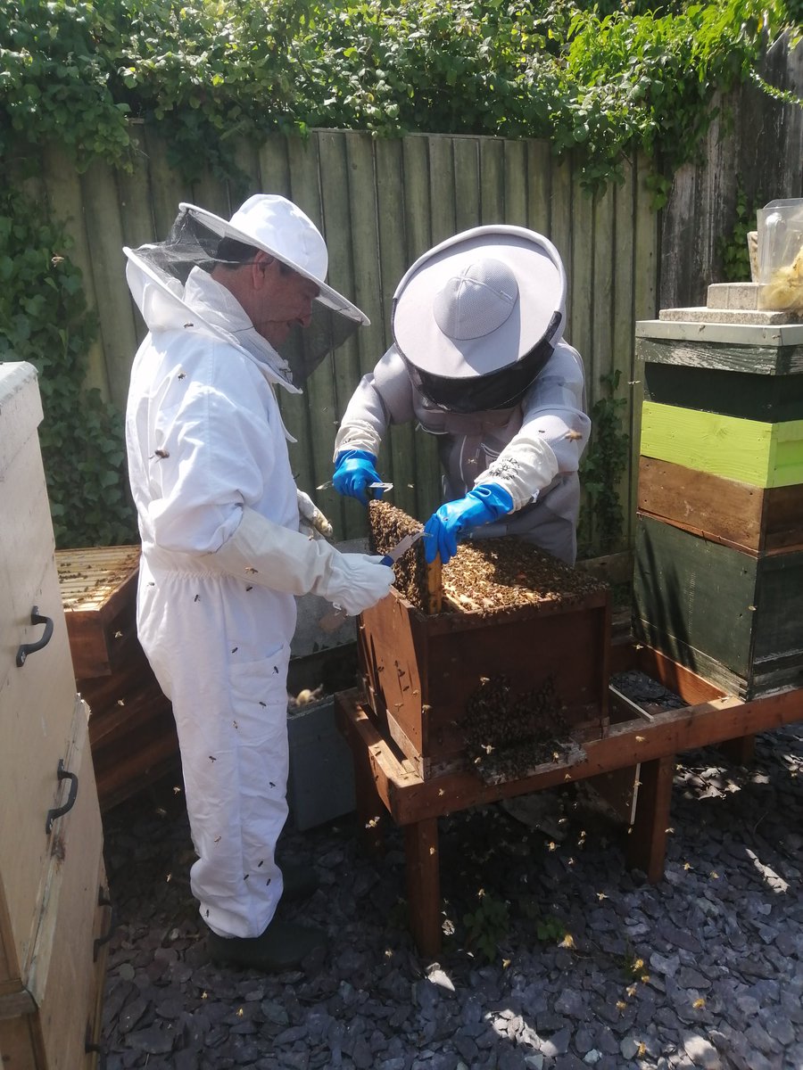 Tim Hewer tweet media