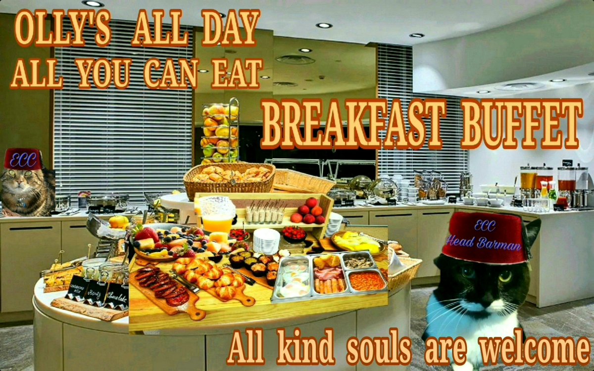 Pick up your plates and join the queue at the counter. My all day breakfast buffet is open. What can I get for you ?

❤️❤️❤️❤️😋😋😋😋❤️❤️❤️❤️

#ECC #Hedgewatch #SuperSeniorCatsClub #theruffriderz #Panfursquad #TheAviators #tabbytroop #CatsOfTwitter #CalicoCrew #ZSHQ