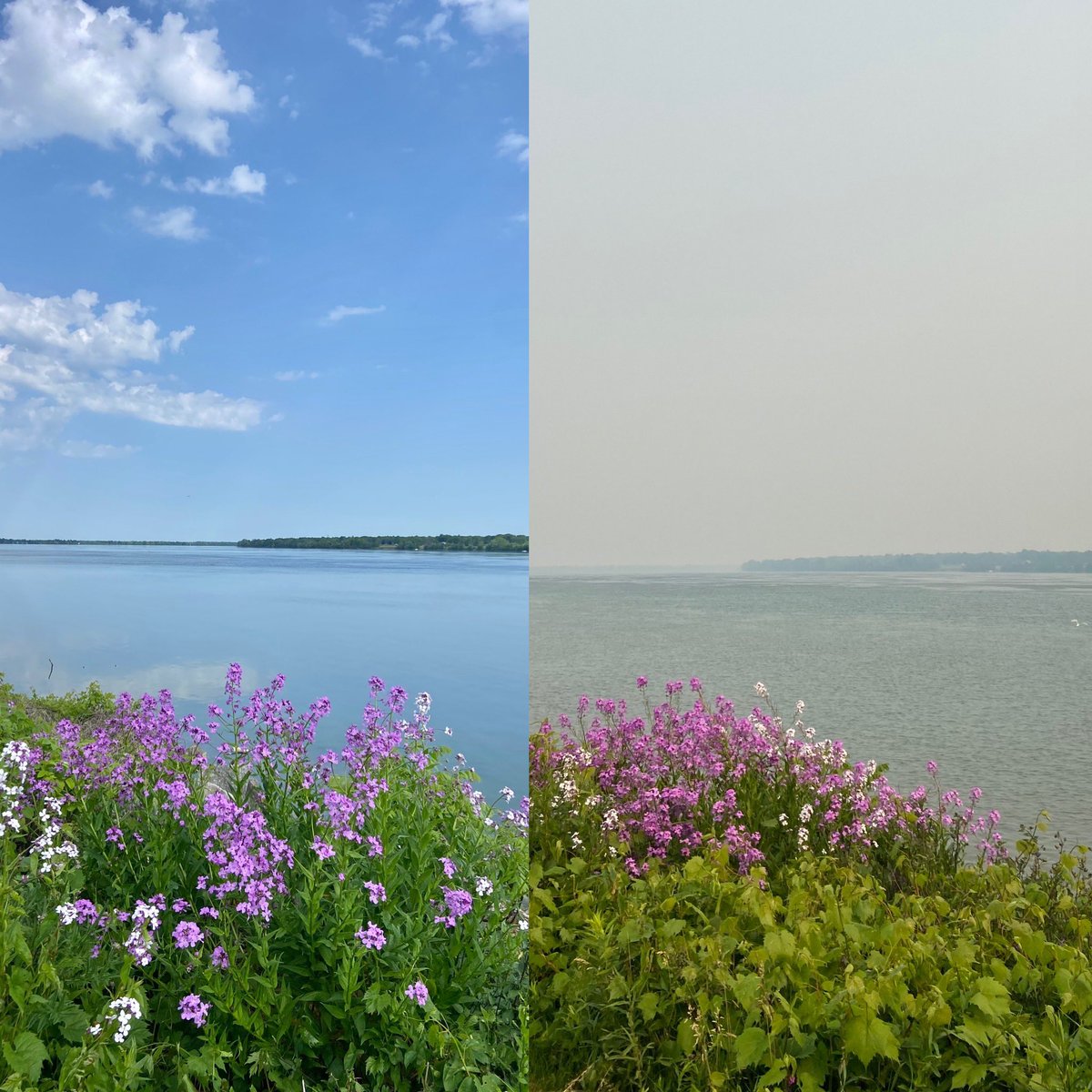Niagara_411's tweet photo. Same spot in the Niagara Region, one week apart. Wow 💨! https://t.co/jQ79rRzQ4h