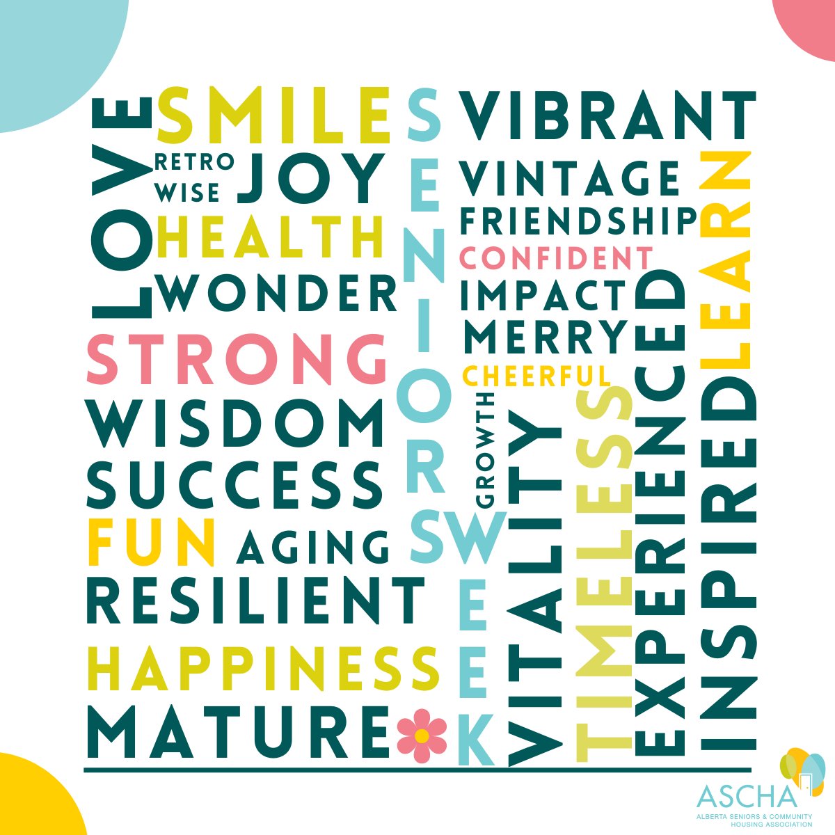 ASCHA__'s tweet image. As we continue to celebrate #SeniorsWeek, we encourage you to check in with your local seniors #community to find out about all the activities you can attend and support!