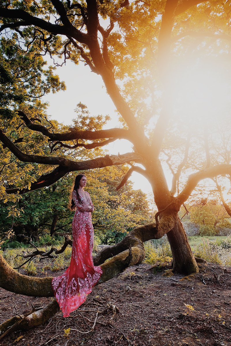 DunskeyE's tweet photo. Picking jaws off the floor. 
Some of the most mesmerizing photos we've ever seen at Dunskey Estate. 
Incredible light and magic captured by our dear @markpacuraphoto 

#dunskeyestate #dunskeymagic #scottishweddingvenue #outdoorwedding #weddingceremony https://t.co/QYmJXNBXQr