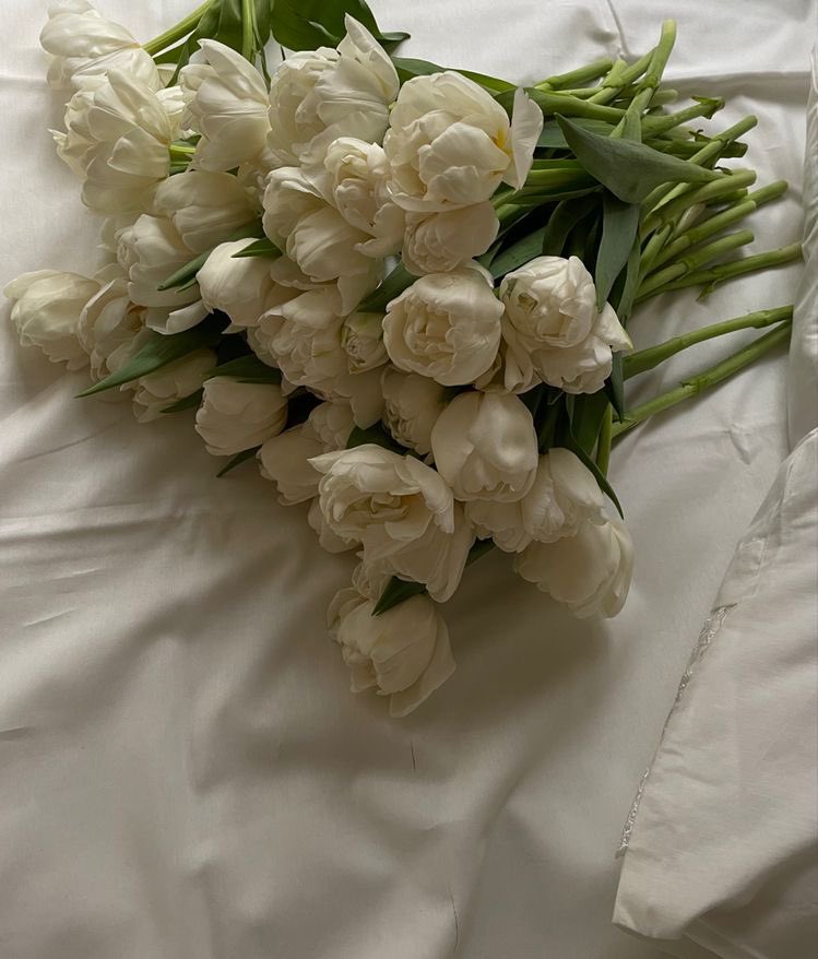 🌷 (@tu_lip_2) on Twitter photo 