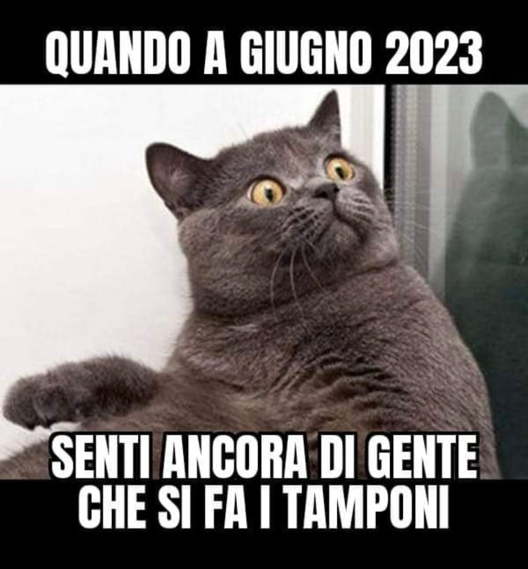 Zaverio Mascaro🇮🇹🧱💤🇷🇺 tweet media