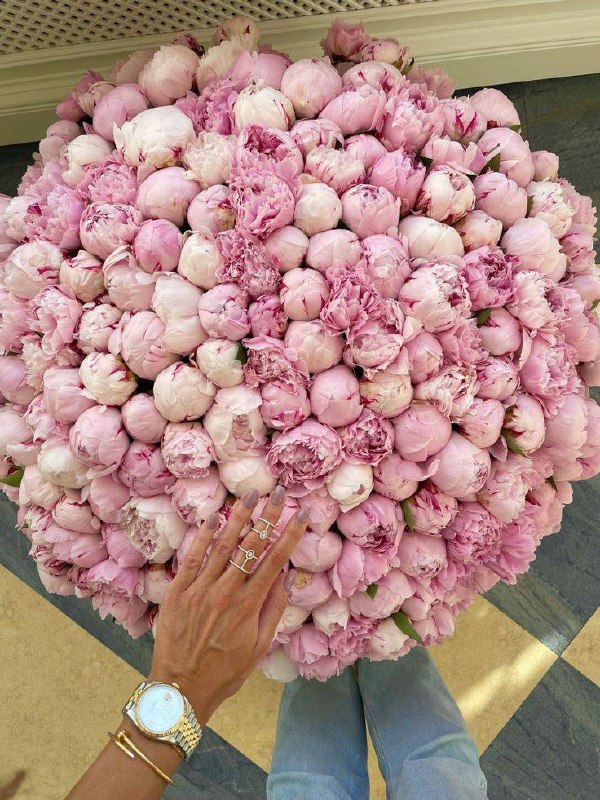 1Qafal's tweet photo. Pink peonies 🌸💗 https://t.co/qdj8DtPCHH