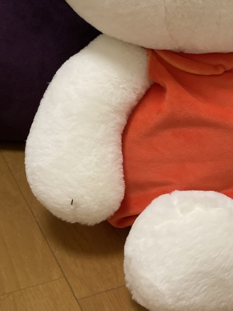 takeppawer's tweet photo. うちのミッフィーちゃん血吸われとる😭 https://t.co/vq1T4gE71J