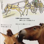 「知のビジュアル百科　馬の百科」!あるページの説明文が全部かわいい!