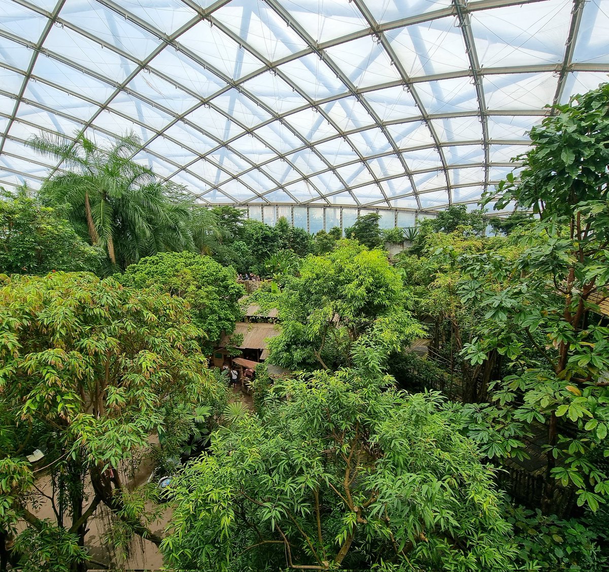 🌴A tropical forest at the heart of #Leipzig?

This afternoon, we visited the <a href="/Zoo_Leipzig/">Zoo Leipzig</a> which has established a large-scale #rainwater #collection &amp; #water #reuse #system that creates a year-long tropical habitat!Rainwater is collected in cisterns, cleaned &amp; used 4 irrigation.