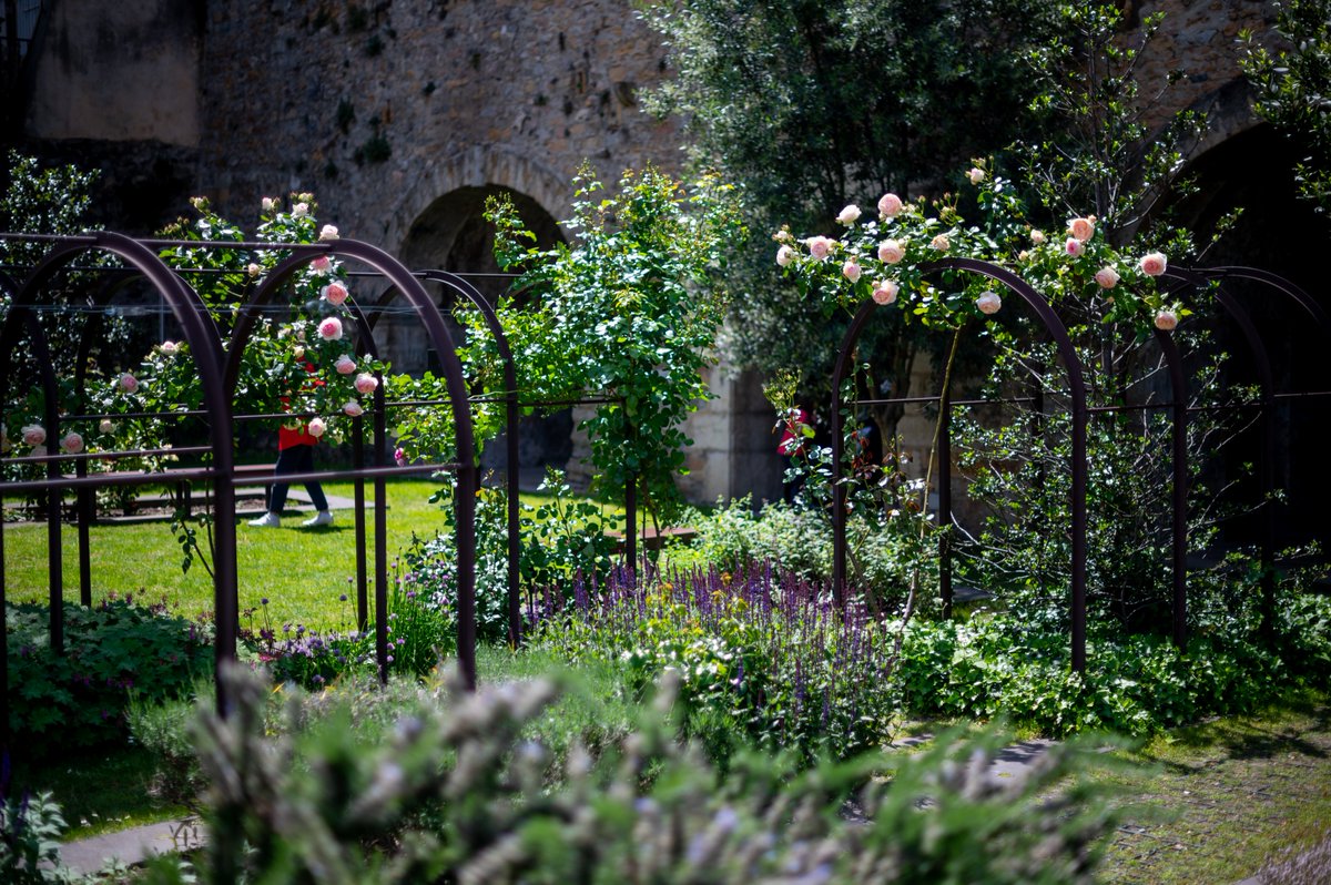 Gadagne_mam_mhl's tweet photo. Ouverture de Gadagne, de ses deux musées #MAMLyon #MHLLyon, du café et du jardin à 14h. L'incident technique de ce matin est résolu, nous vous attendons🙂
📷Romain Etienne - item https://t.co/B4WlnQcFJb