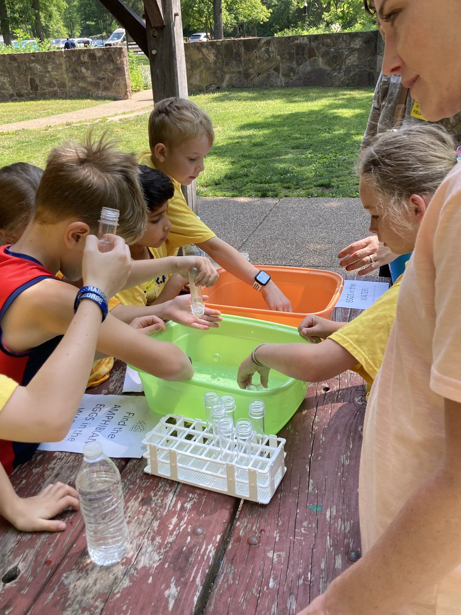 aestohs's tweet photo. Also on our Field Trip we did some exploratory stations to touch snake skin, find “amphibian eggs” in water, look at the life cycle of a frog, etc. we went on a hike to search for animals and enjoyed walking around a lot! https://t.co/zMpxsVi7AT