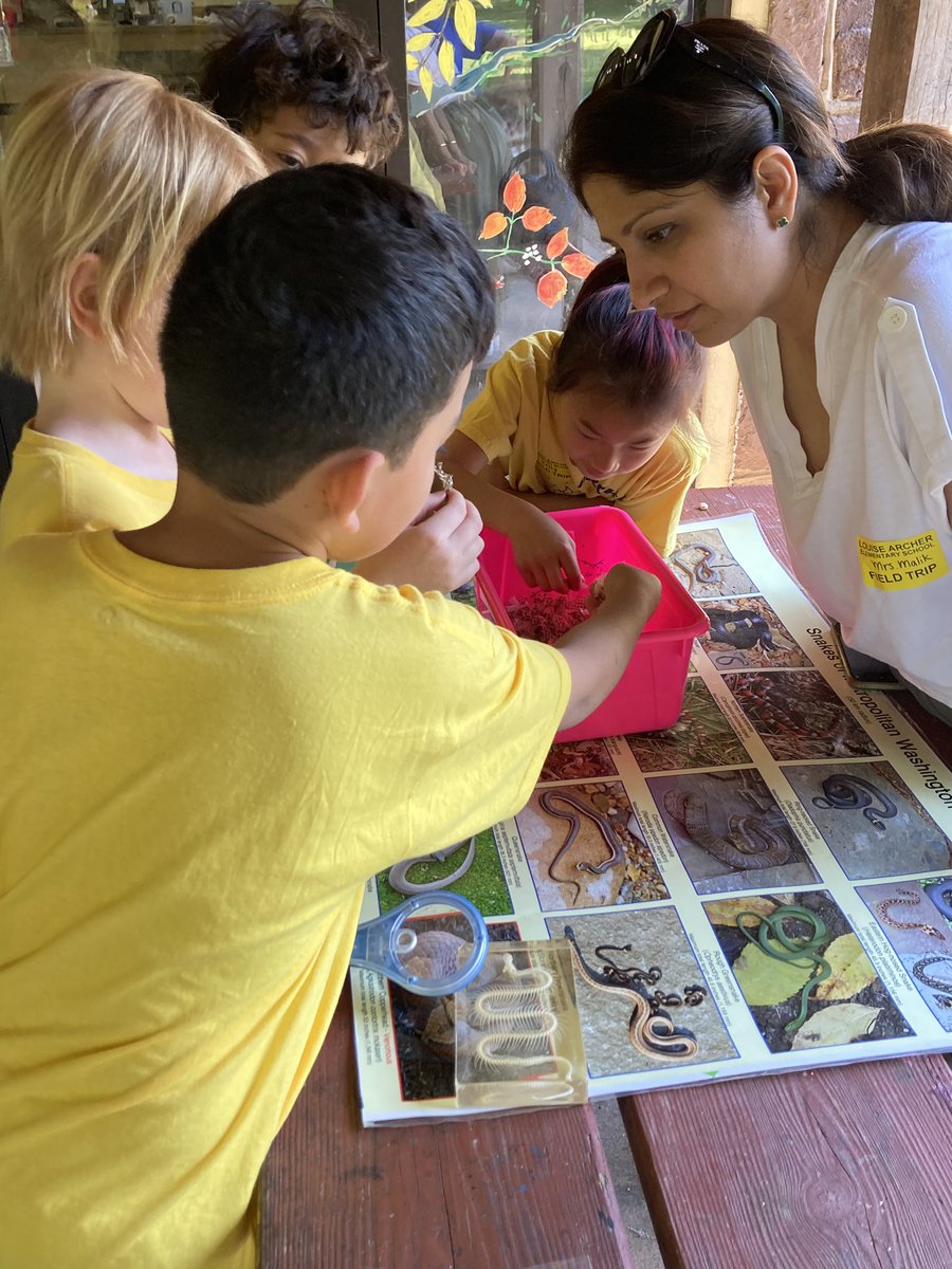 aestohs's tweet photo. Also on our Field Trip we did some exploratory stations to touch snake skin, find “amphibian eggs” in water, look at the life cycle of a frog, etc. we went on a hike to search for animals and enjoyed walking around a lot! https://t.co/zMpxsVi7AT