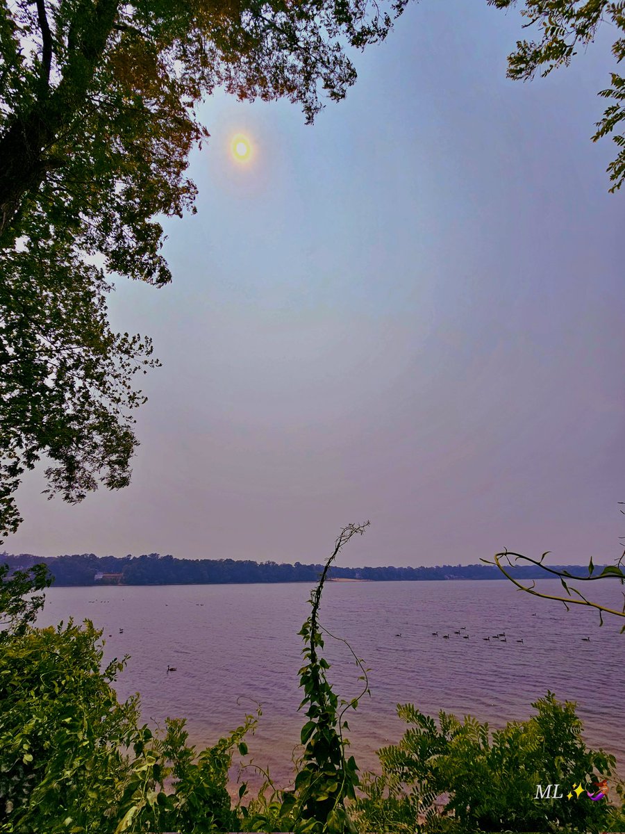 hazy greetings from the lake ☀️✨️💫🌊✨️🧜🏽‍♀️