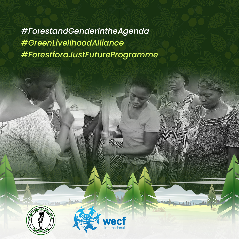 The government of Nigeria must prioritize forest conservation, involve women in environmental governance, and ensure climate resilience for vulnerable communities.
#Forestandgenderintheagenda  #ClimateJustice  #GenderJustice  #WomenForForests  #ConservationChampions 
@WEP_Nigeria