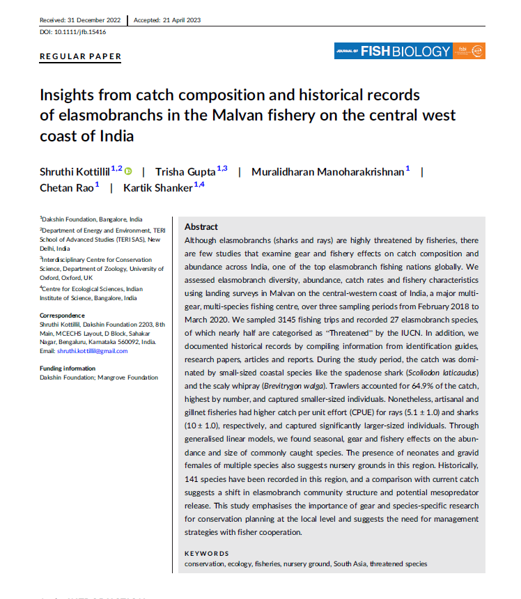 Shruthi Kottillil tweet media