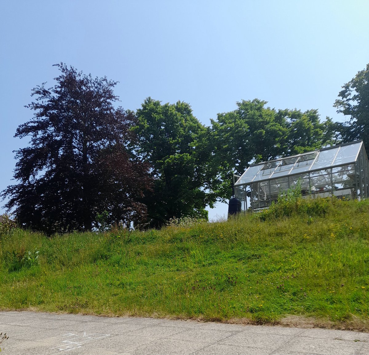 EmmaGendall_'s tweet image. Underestimated the power of fresh air and sunshine on my lunchbreak 
#feelingrevived
#youcannotpourfromanemptycup