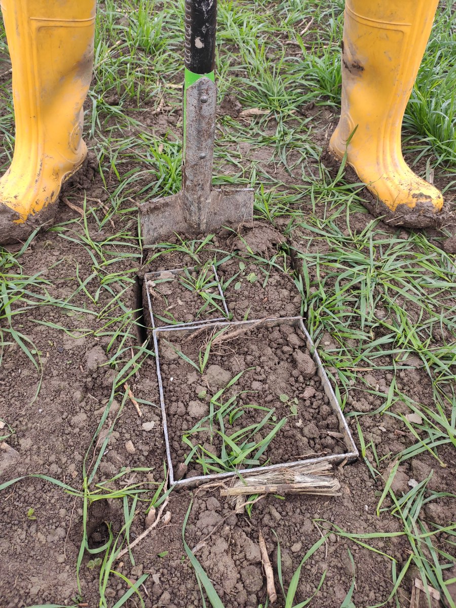EJPSOIL_Artemis's tweet photo. Where to start if want to learn more #soilecosystemservices understand #agro-ecological practices #soil #sustainablecropproduction ? #ERSAF team excavated soil samples #soilorganiccarbon #microbialbiomass #cropyield
Discover more @EJPSOIL ! https://t.co/Y0a5igS41C