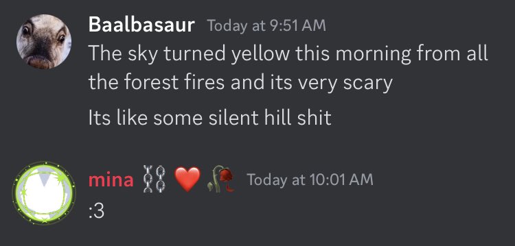 NimtieDeer's tweet photo. Average discord https://t.co/gDLBJPFHiu