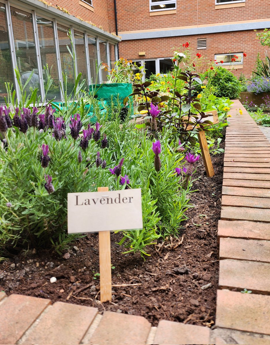 Sarah Revel tweet media