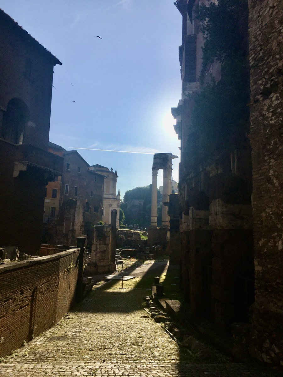 Ombra e luce… questa mattina a #Roma 🤍
#Rome