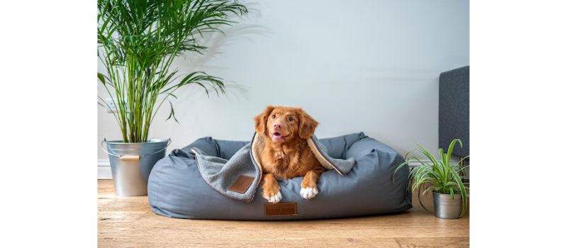 LakesideLKA's tweet photo. Follow these tips to make your pets' lives and your life much easier!
#LakesideRealEstate https://t.co/0Xfn9RNuF7 https://t.co/mNSbZEwK6E