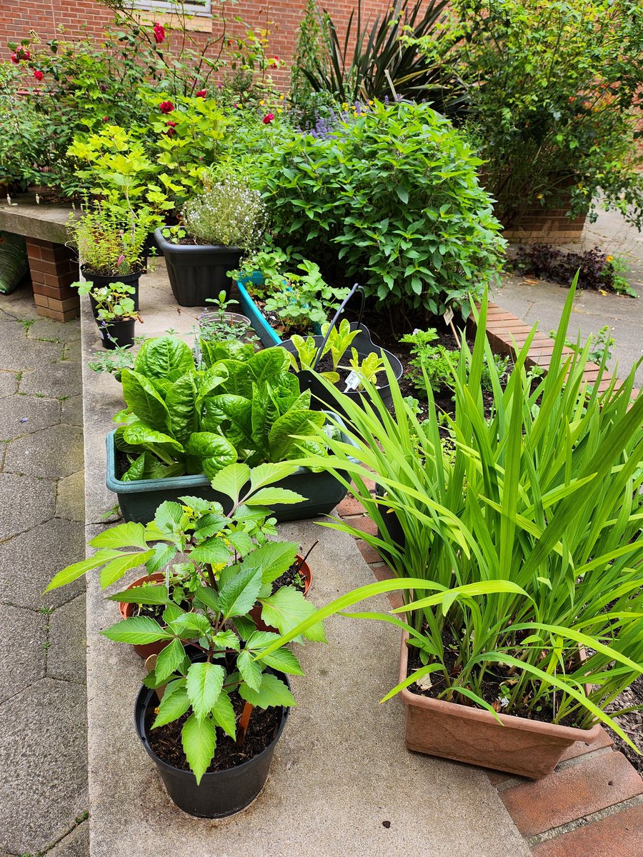 Sarah Revel tweet media